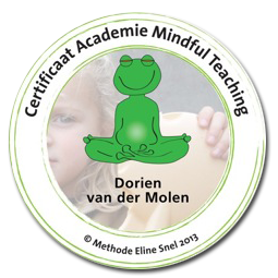 Certificaat Training Mindful Teaching
